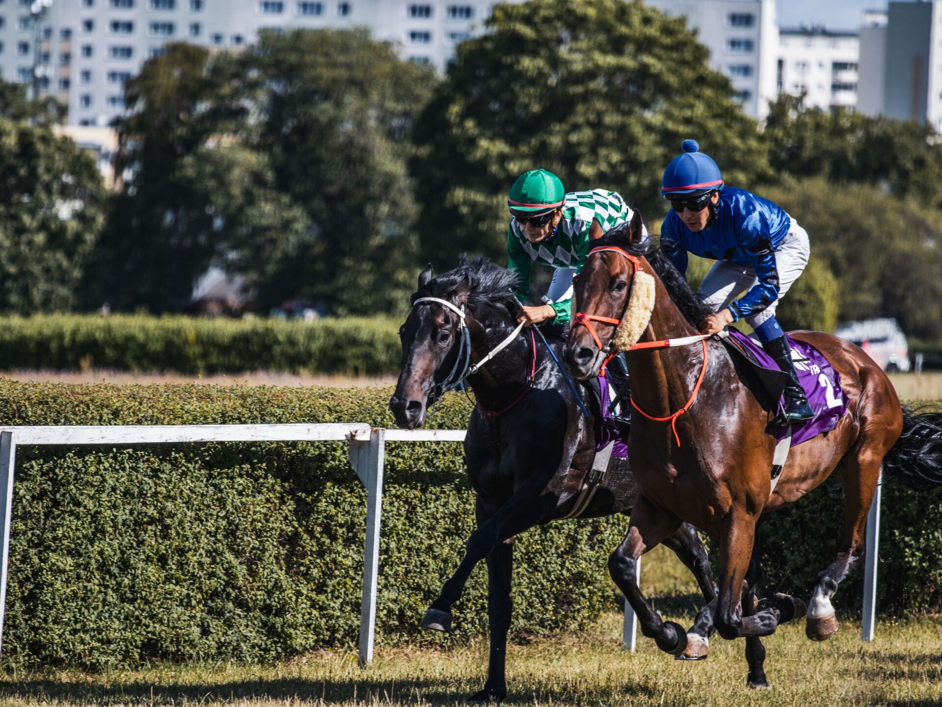 Hippisme
