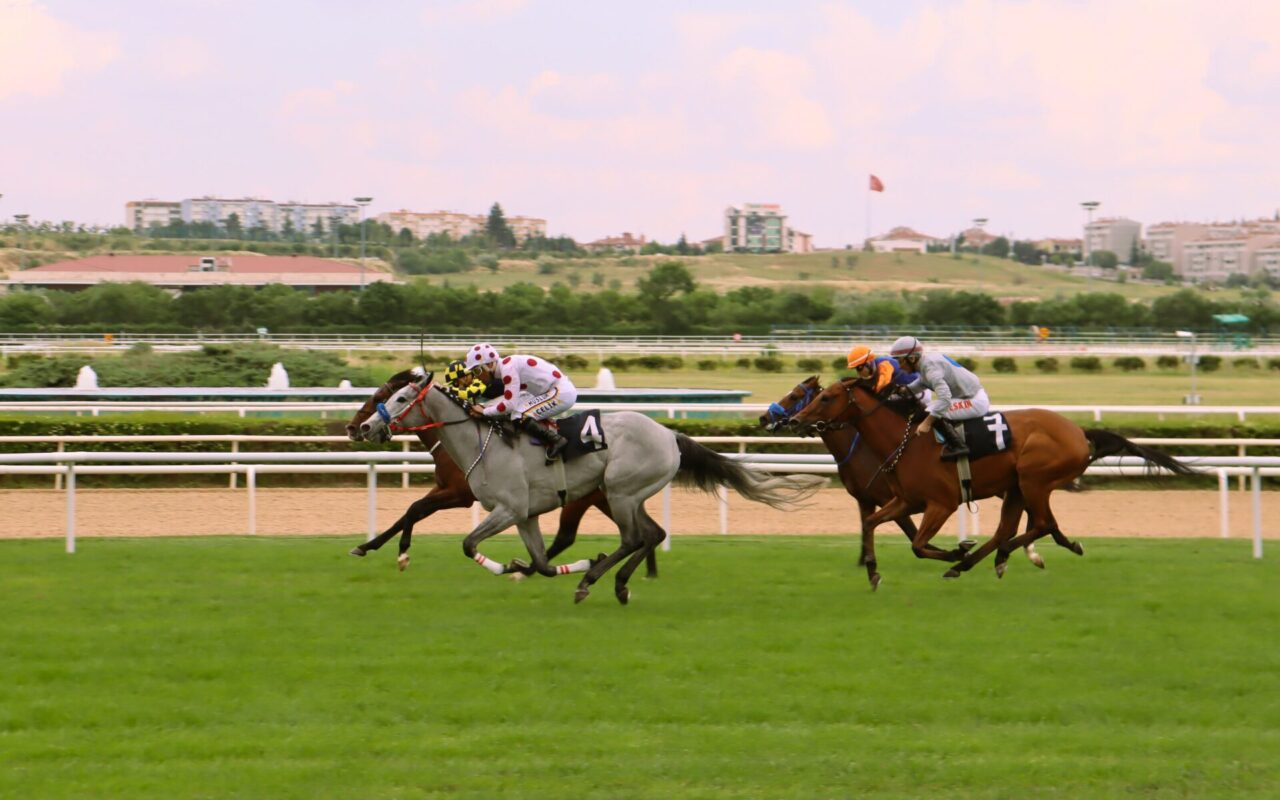 Tiercé Quarté Quinté : les pronos pour le Prix De Saint Pair Du Mont