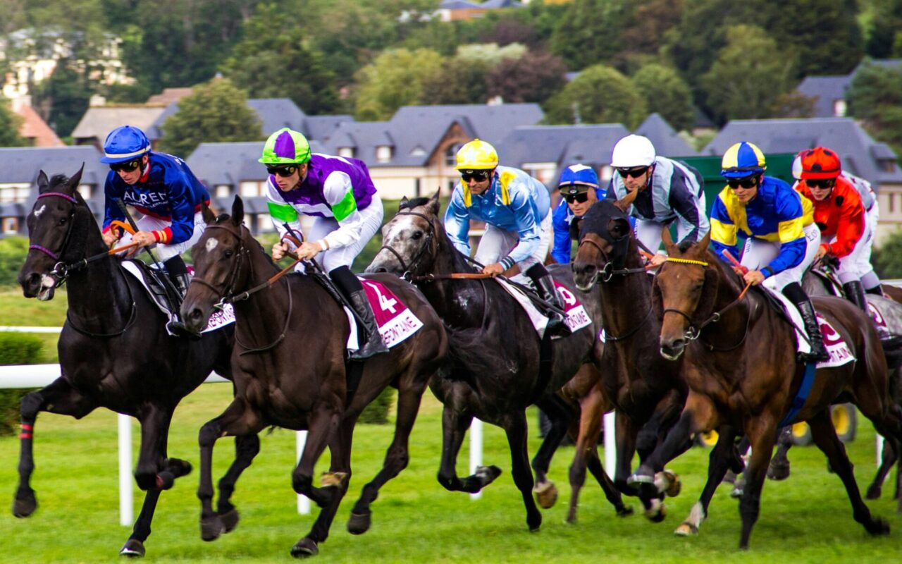 Tiercé Quarté Quinté : les pronos pour le Prix d’Argentan