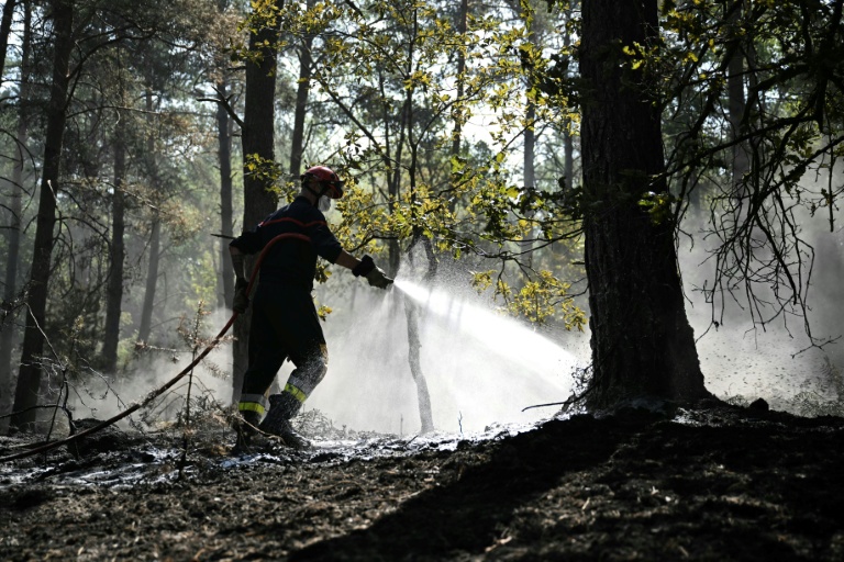 Un pompier arrose le sous-bois lors d'un incendie dans la forêt de Fontainebleau, à Noisy-sur-École, le 16 juillet 2026 en Seine-et-Marne