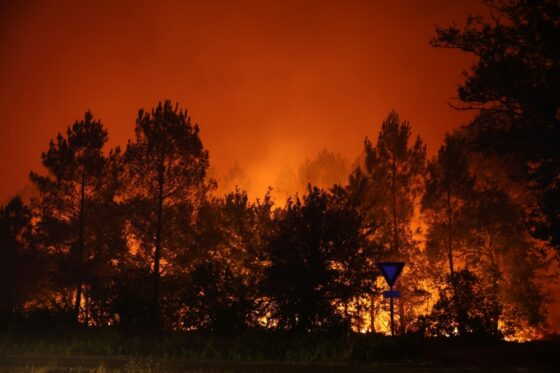 Des incendies de forêt en France illuminant le ciel nocturne.