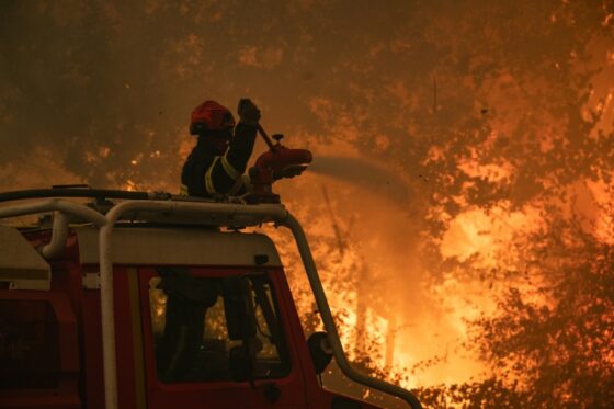 bordeaux feu