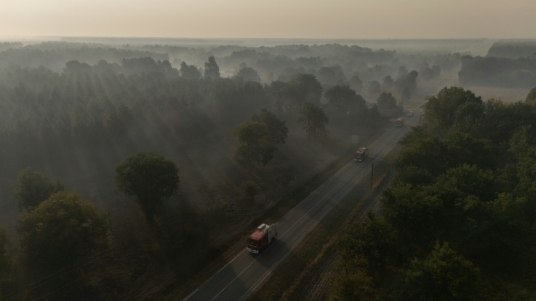 Des camions de pompiers circulent en direction d'un feu de forêt près de Marcheprime (Gironde), le 29 juillet 2026.