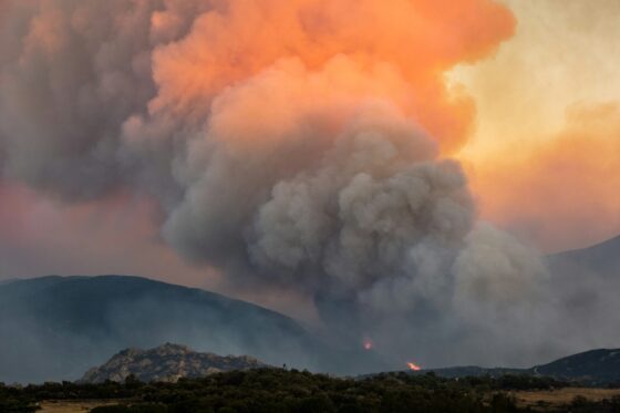 Un incendie dans les Pyrénées-Orientales, montrant de la fumée et des flammes dans le ciel.