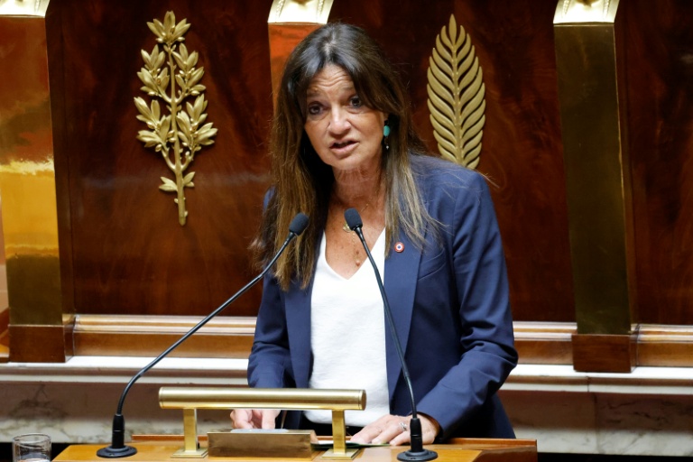 Nathalie Colin-Oesterle, députée du groupe Horizons et Indépendants, prend la parole à l'Assemblée nationale, à Paris, le 12 mai 2025