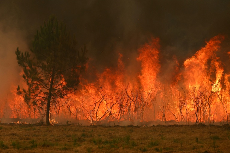 Un espace boisé ennproie au flammes à Marcheprime en Gironde, le 26 juillet 2026