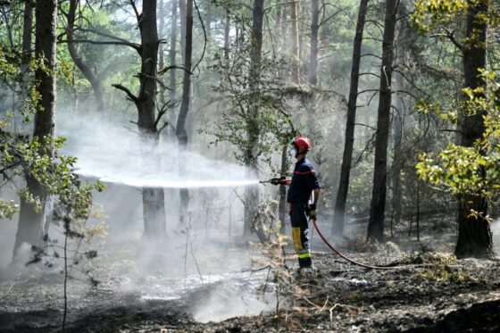 Pompier combattant un incendie dans la forêt de Fontainebleau.