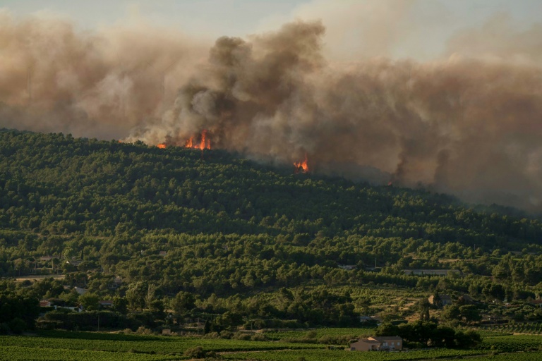 Un feu de forêt à Pouzols-Minervois, le 1er juillet 2026 dans l'Aude