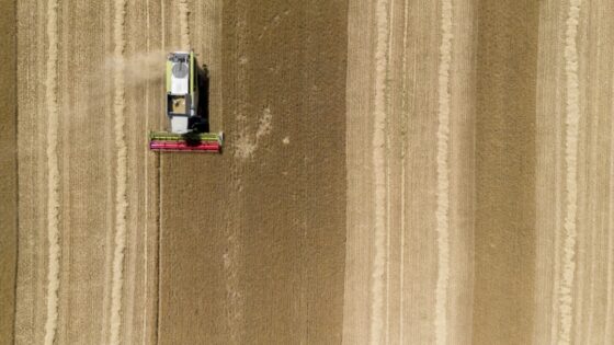 Un champ de blé vu du ciel avec une moissonneuse-batteuse en action.