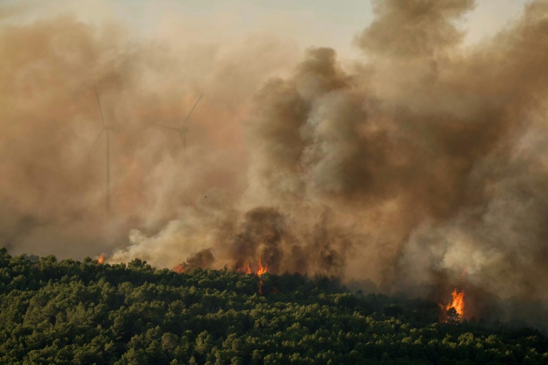 Un feu de forêt à Pouzols-Minervois, le 1er juillet 2026 dans l'Aude