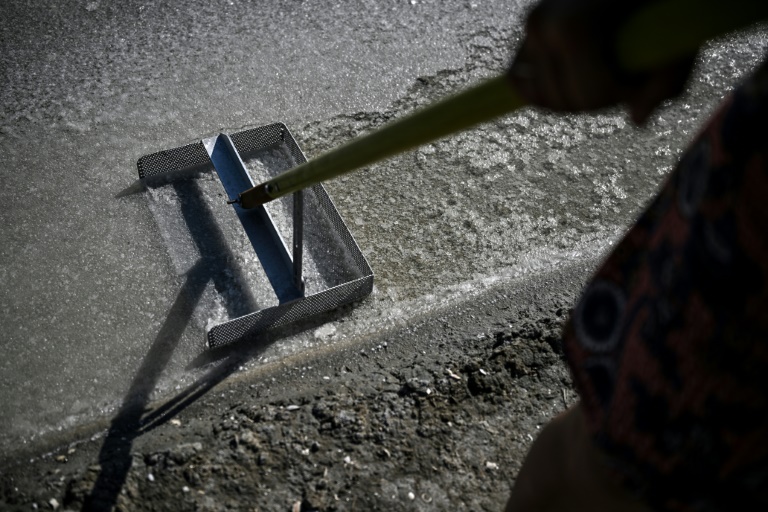La saunière française Annabelle Poinot récolte la fleur de sel qui forme une fine croûte à la surface de l’eau de mer acheminée dans les bassins d’un marais salant à Château-d’Oléron, sur l’île d’Oléron, dans l’ouest de la France, le 17 juin 2026