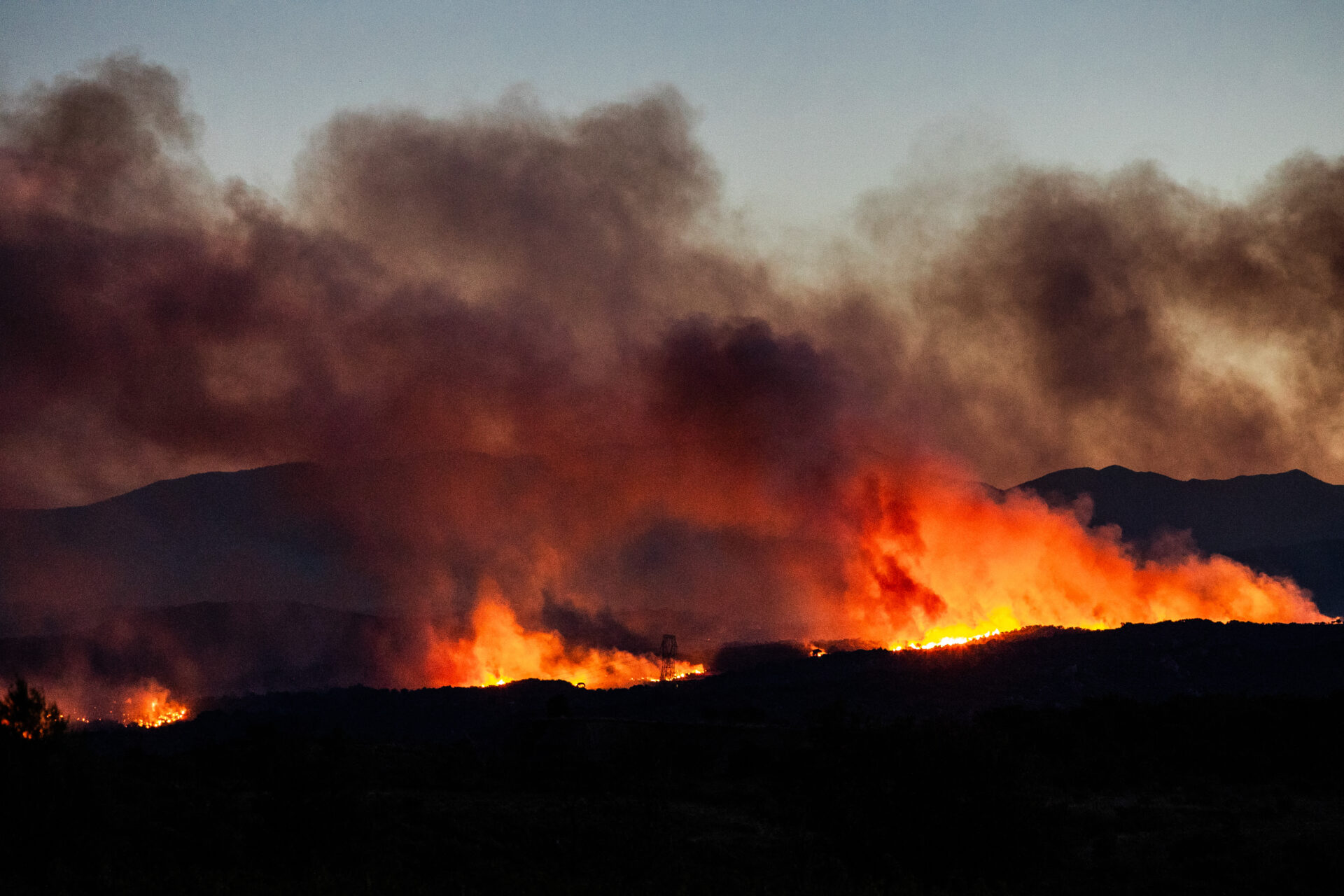 Feux Climat Incendies Forêts
