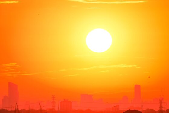 Canicule