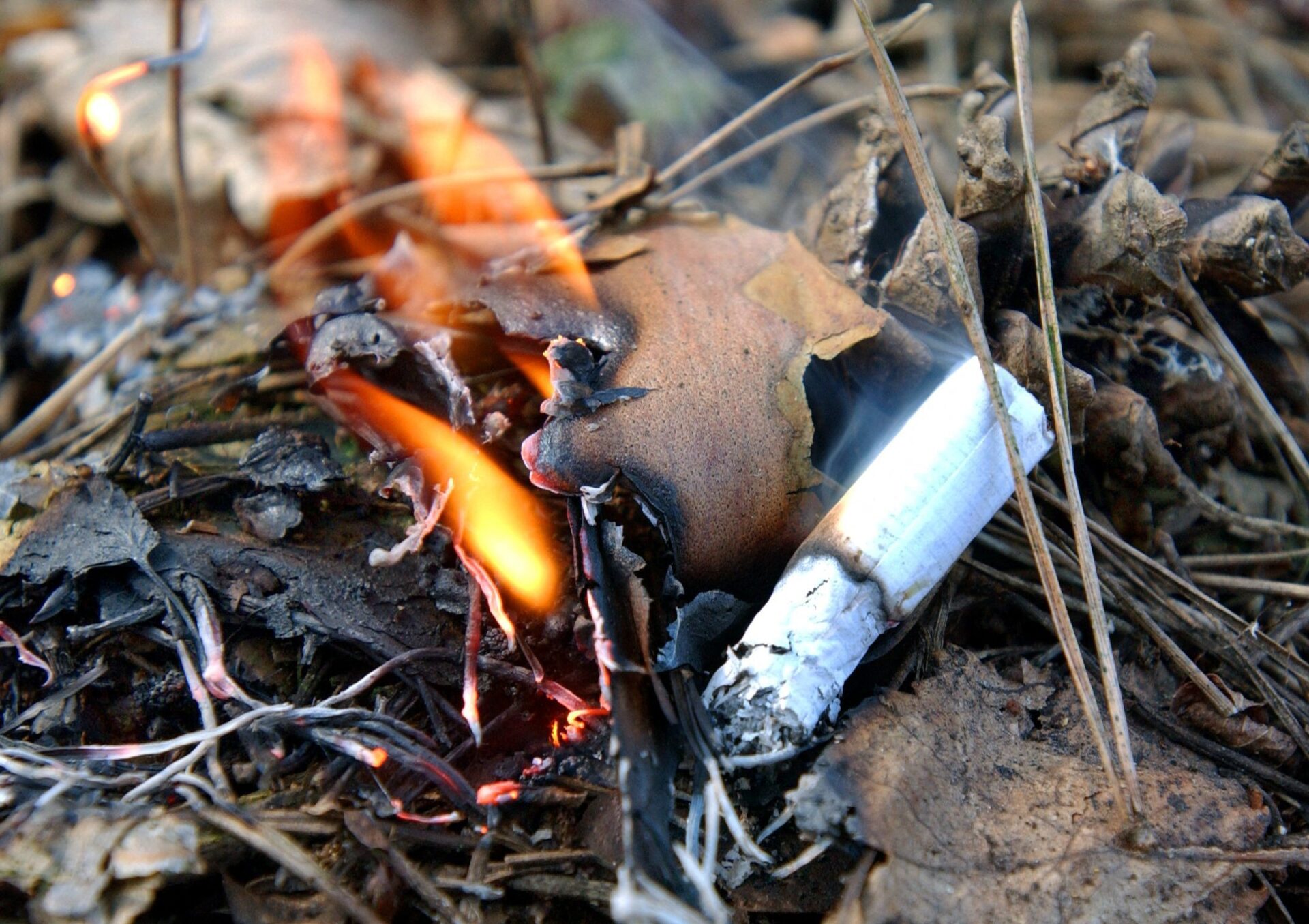 Feux de forêt : 15% des incendies partent d'un mégot