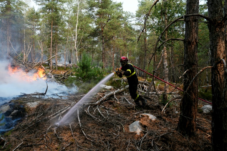 Un pompier lutte contre un incendie dans la forêt de Fontainebleau, à Noisy-sur-École, le 14 juillet 2026 en Seine-et-Marne