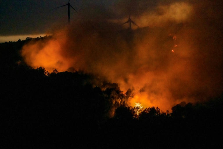 Un feu de forêt à Pouzols-Minervois, le 1er juillet 2026 dans l'Aude