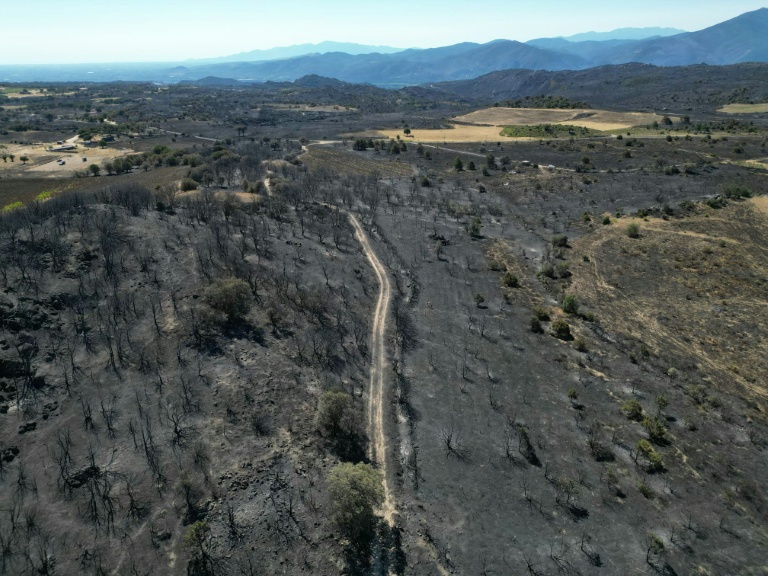 Vue aérienne d'une zone brûlée par un incendie de forêt près de la commune de Montalba-le-Château, non loin de Perpignan, le 7 juillet 2026 dans les Pyrénées-Orientales