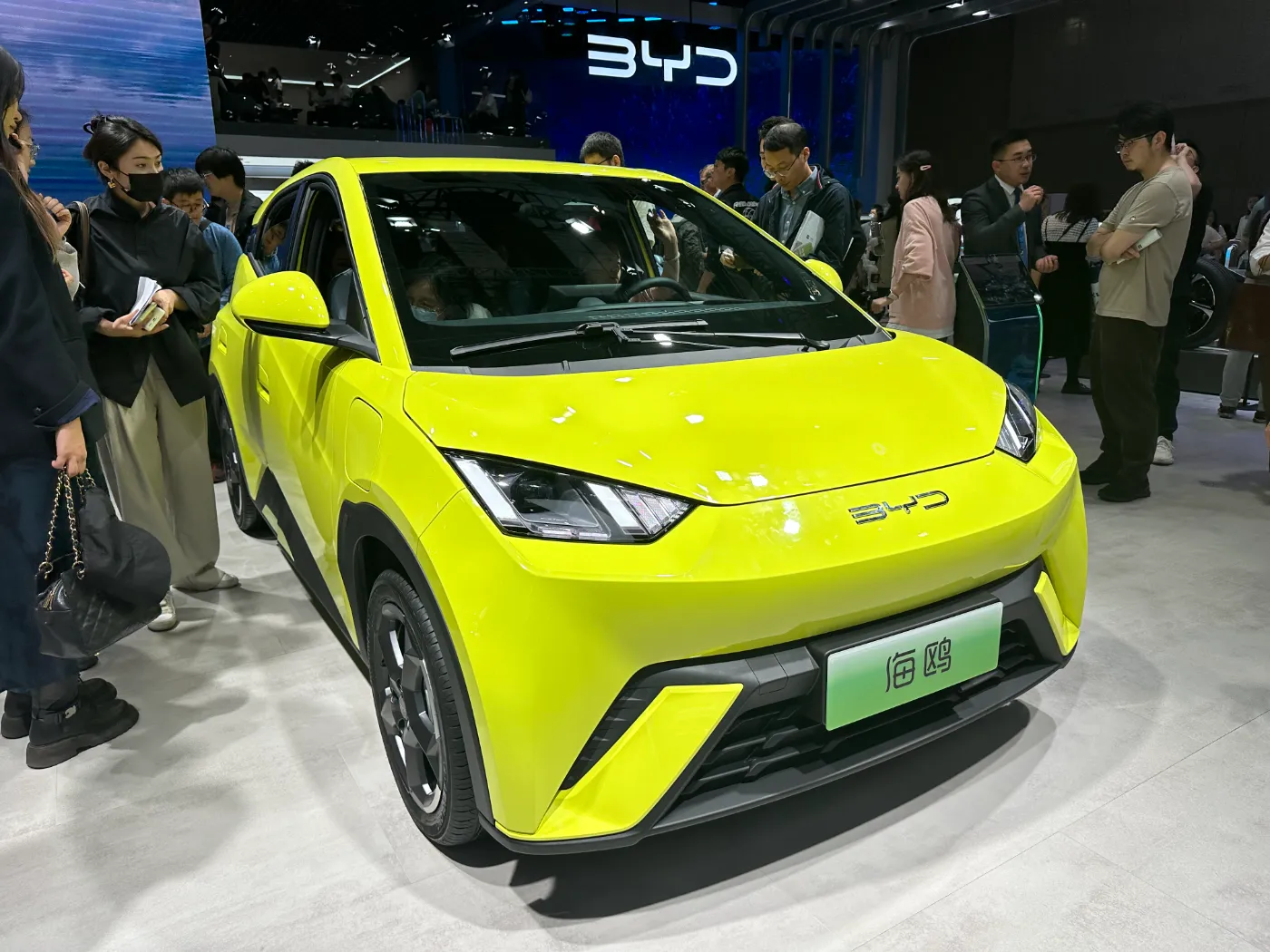 byd dolphin surf : citadine électrique
