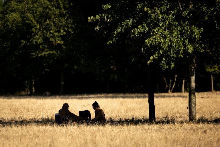 Un couple s'abrite sous un arbre pour pique-niquer au parc de Vincennes, le 11 juillet 2026 à Paris