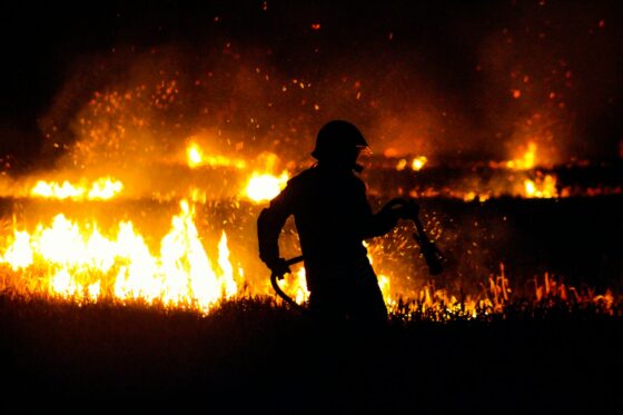 Incendies de forêts : sept campings évacués en Gironde