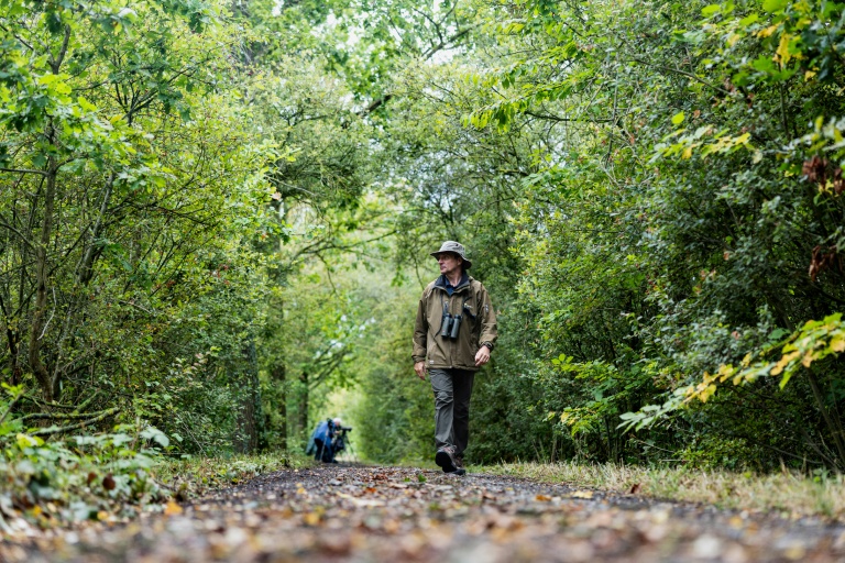 L'ornithologue belge Alain Malengreau dans les marais d'Harchies, une zone naturelle protégée belge, le 21 août 2026 à Bernissart dans le sud-ouest du pays