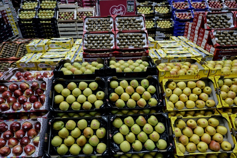 La récolte de pommes devrait être réduite d'environ 20% par rapport à 2025