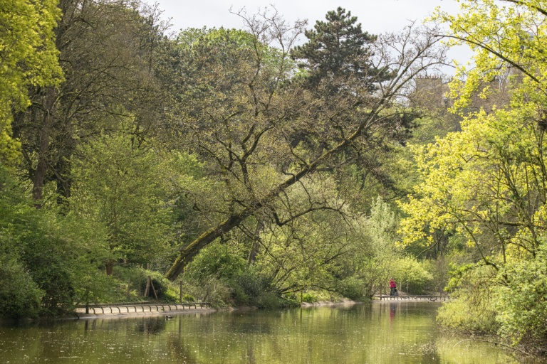 Le lac de Saint-Mandé, au coeur du bois de Vincennes, à Paris, le 2 avril 2026