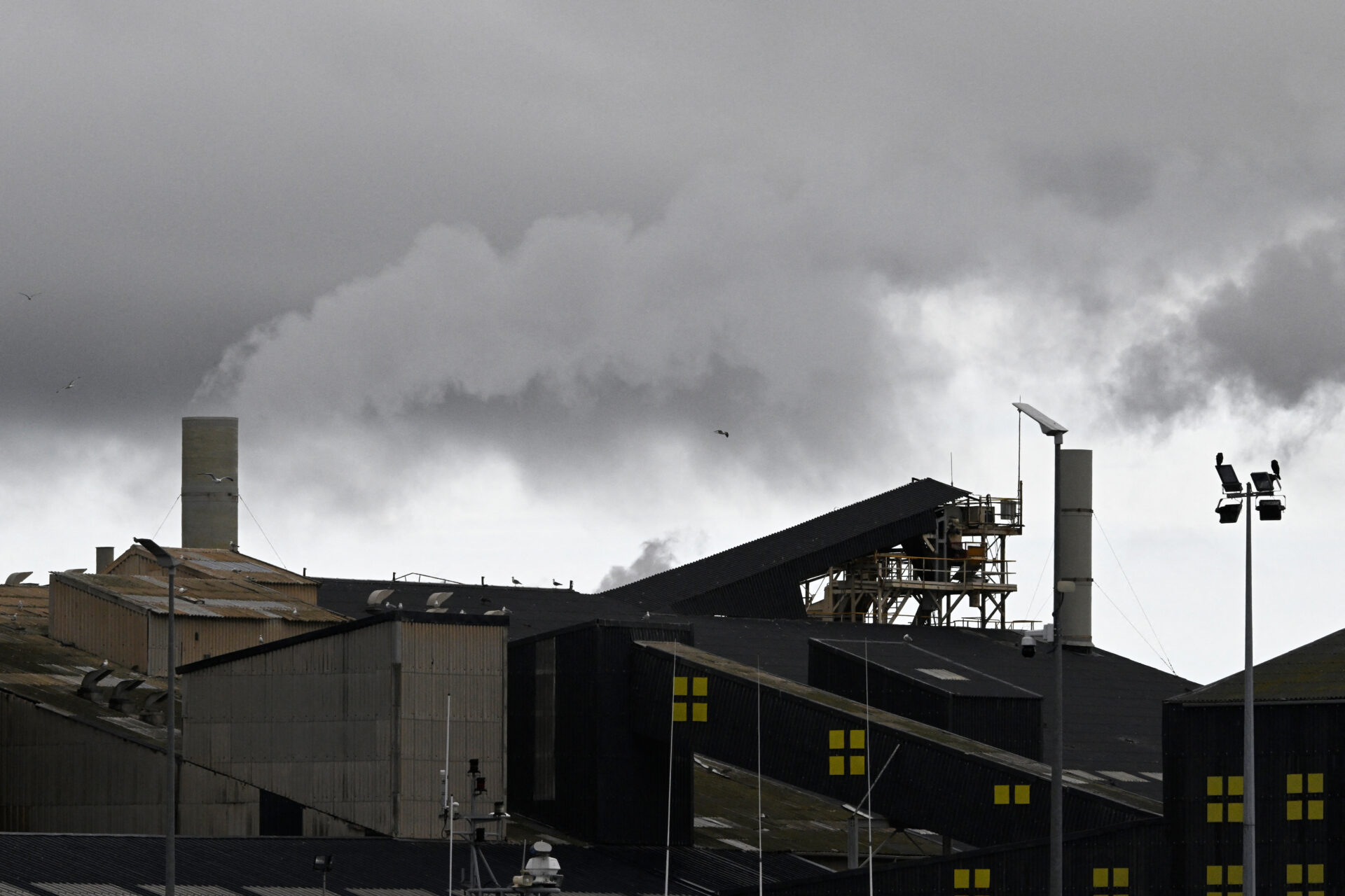 Sols Pollués, Timac pointé du doigt