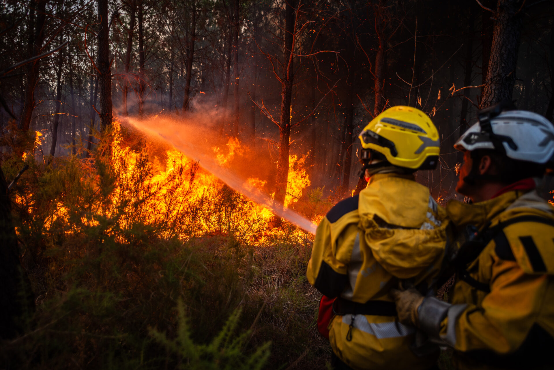 incendies, Gironde, réseaux sociaux, Porge