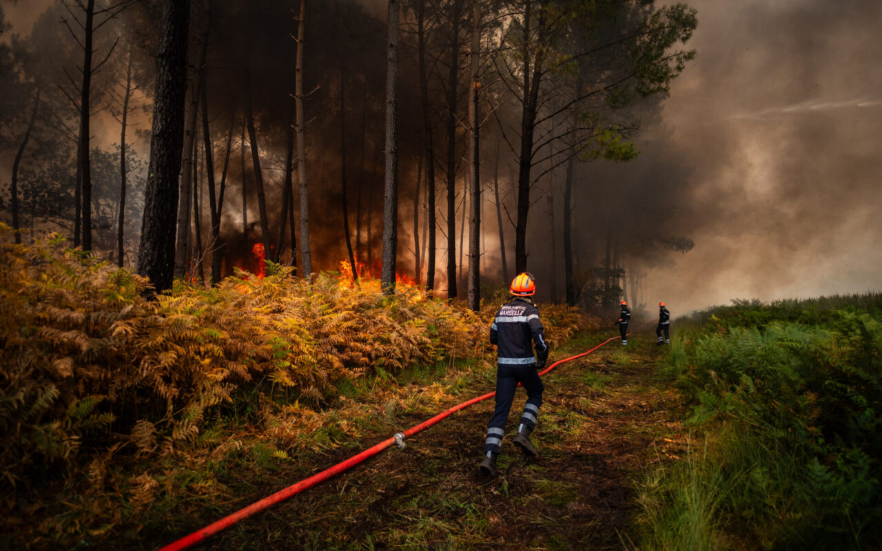 Comment la commune de Saumos se remet des incendies en Gironde