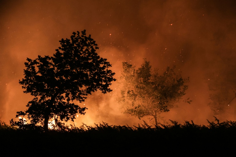 Un incendie entre les communes de Landiras et Guillos, en Gironde, le 13 juillet 2022