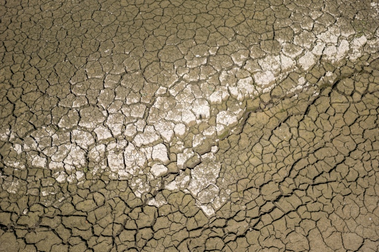 Sol craquelé par la sécheresse en France, illustration des effets de la canicule.