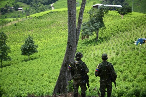 Des soldats surveillent une zone rurale en Colombie