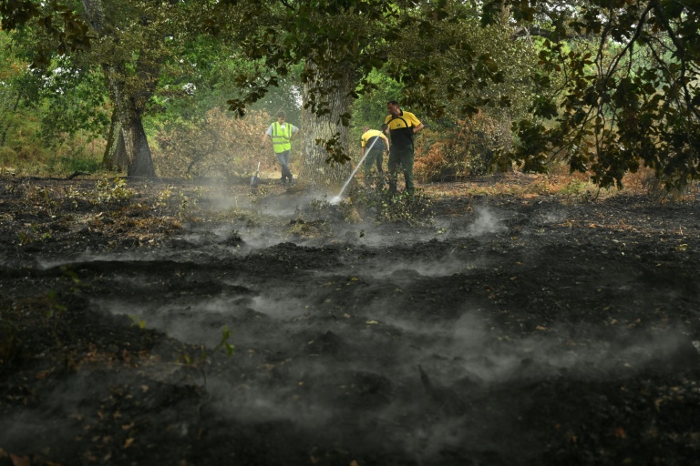 Des agents du Service de prévention des incendies de forêt (DFCI) éteignent des braises en forêt lors d'un incendie à Luglon, le 16 août 2026 dans les Landes