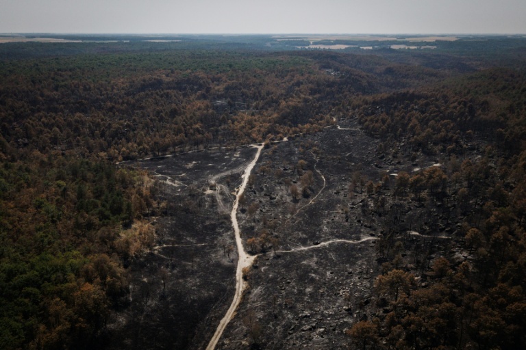 Vue aérienne d'une zone touchée par un incendie dans la forêt de Fontainebleau, à Noisy-sur-École, en Île-de-France, le 30 juillet 2026