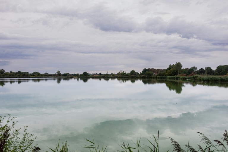 Vue des marais d'Harchies, une zone naturelle protégée belge, le 21 août 2026 à Bernissart dans le sud-ouest du pays