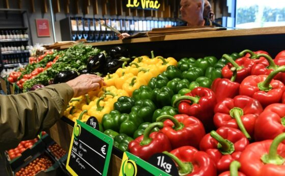 Rayon de légumes bio en magasin, symbole de la consommation agriculture biologique en hausse.