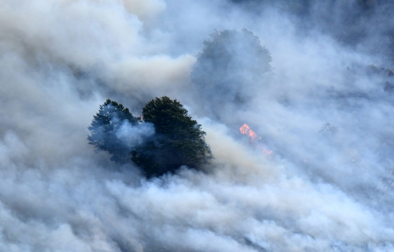 Une épaisse fumée enveloppe des arbres lors d'un incendie de forêt près d'Etsaut, le 6 septembre 2026 dans les Pyrénées-Atlantiques