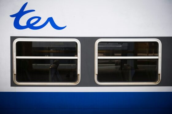 Logo TER sur le côté d'un train, en rapport avec le déraillement en Seine-Maritime.