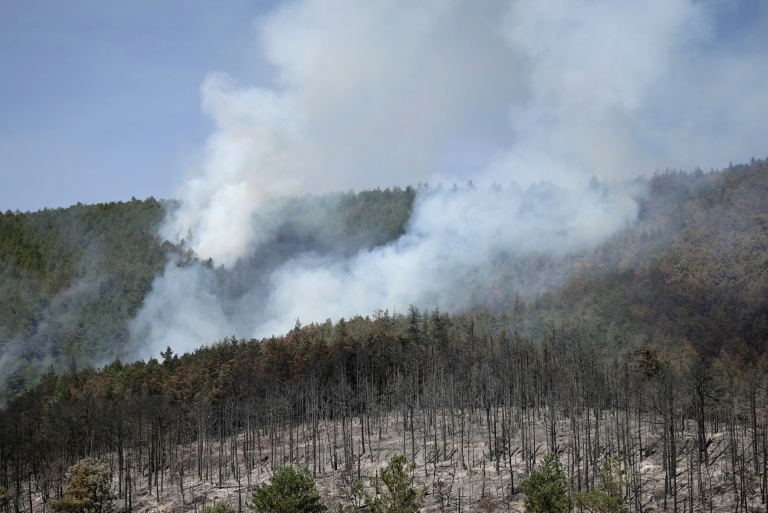 Un feu de forêt près de Puilaurens, le 5 septembre 2026 dans l'Aude