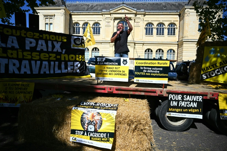 Le dirigeant de la Coordination rurale (CR), Bertrand Venteau, manifeste devant le tribunal d'Auch (Gers) le 