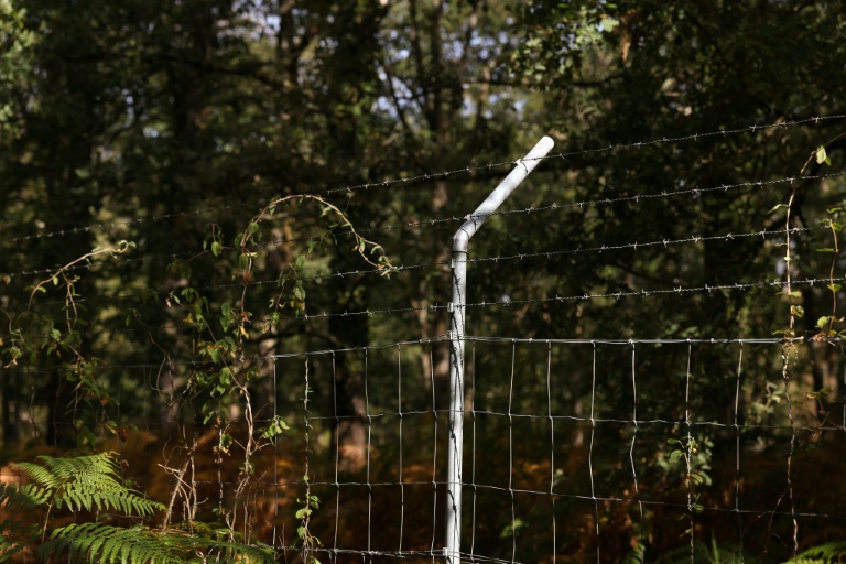 Grillage et fils de fer barbelé autour d'une propriété privée en Sologne, à Brinon-sur-Sauldre, dans le Cher, le 26 août 2026