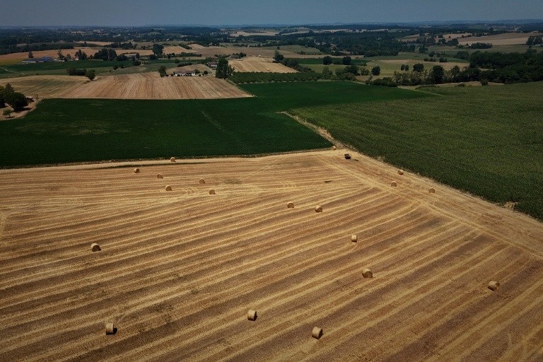 Des champs après une récolte précoce de céréales précipitée par une vague de chaleur et la sécheresse, près de Monbahus, dans le sud-ouest de la France, le 8 juillet 2026