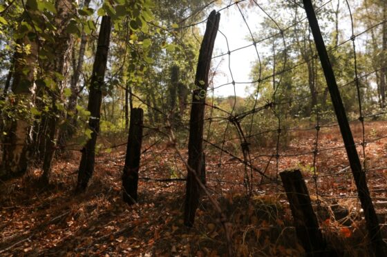 Grillage et fils de fer barbelé autour d'une propriété privée en Sologne.