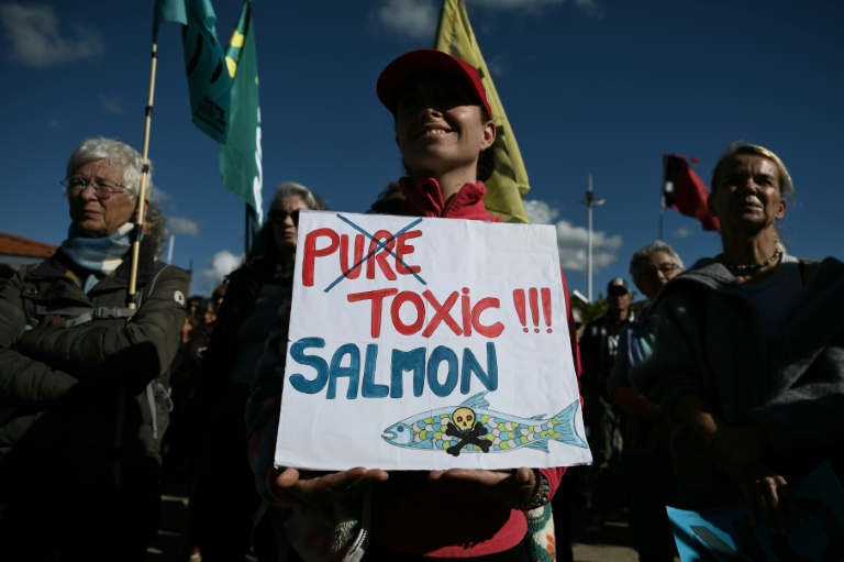 Manifestation contre le projet d’élevage industriel de saumons en milieu terrestre, le 18 octobre 2026 au Verdon-sur-Mer, en Gironde