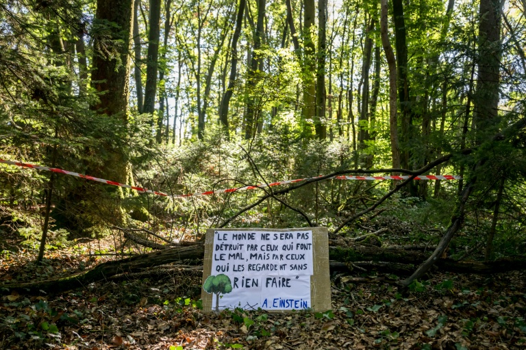 Une pancarte installée dans une forêt par des militants opposés à la construction de la controversée autoroute A412, près de Perrignier, en Haute-Savoie, le 14 octobre 2026