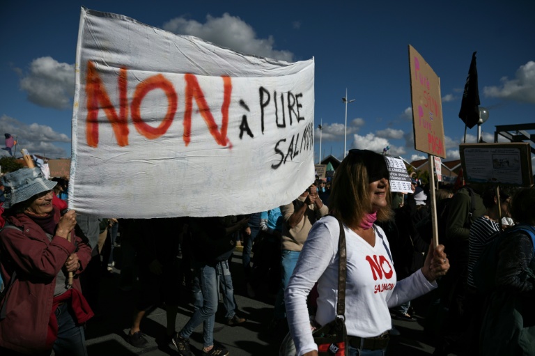 Manifestation contre le projet d’élevage industriel de saumons en milieu terrestre, le 18 octobre 2026 au Verdon-sur-Mer, en Gironde