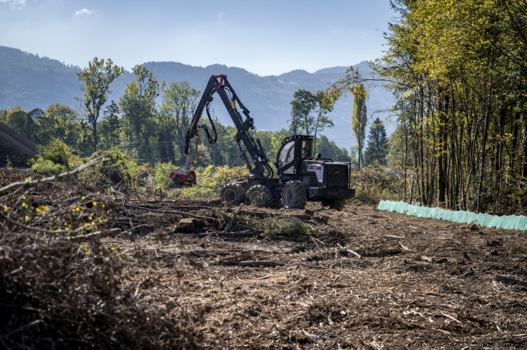 Un engin forestier dans une zone boisée pour la construction de la controversée autoroute A412, près de Perrignier, en Haute-Savoie, le 14 octobre 2026