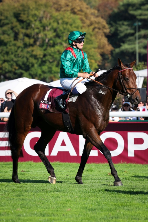 Le jockey français Mickaël Barzalona sur le pur-sang français Daryz remporte le Prix de l'Arc de Triomphe pour la deuxième année d'affilée, le 4 octobre 2026 sur l'hippodrome de Longchamp, à Paris