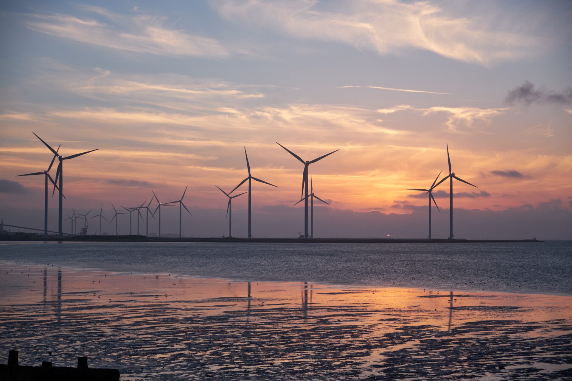 L'Ao10, plus grand projet éolien offshore français est décrié dans un rapport européen.